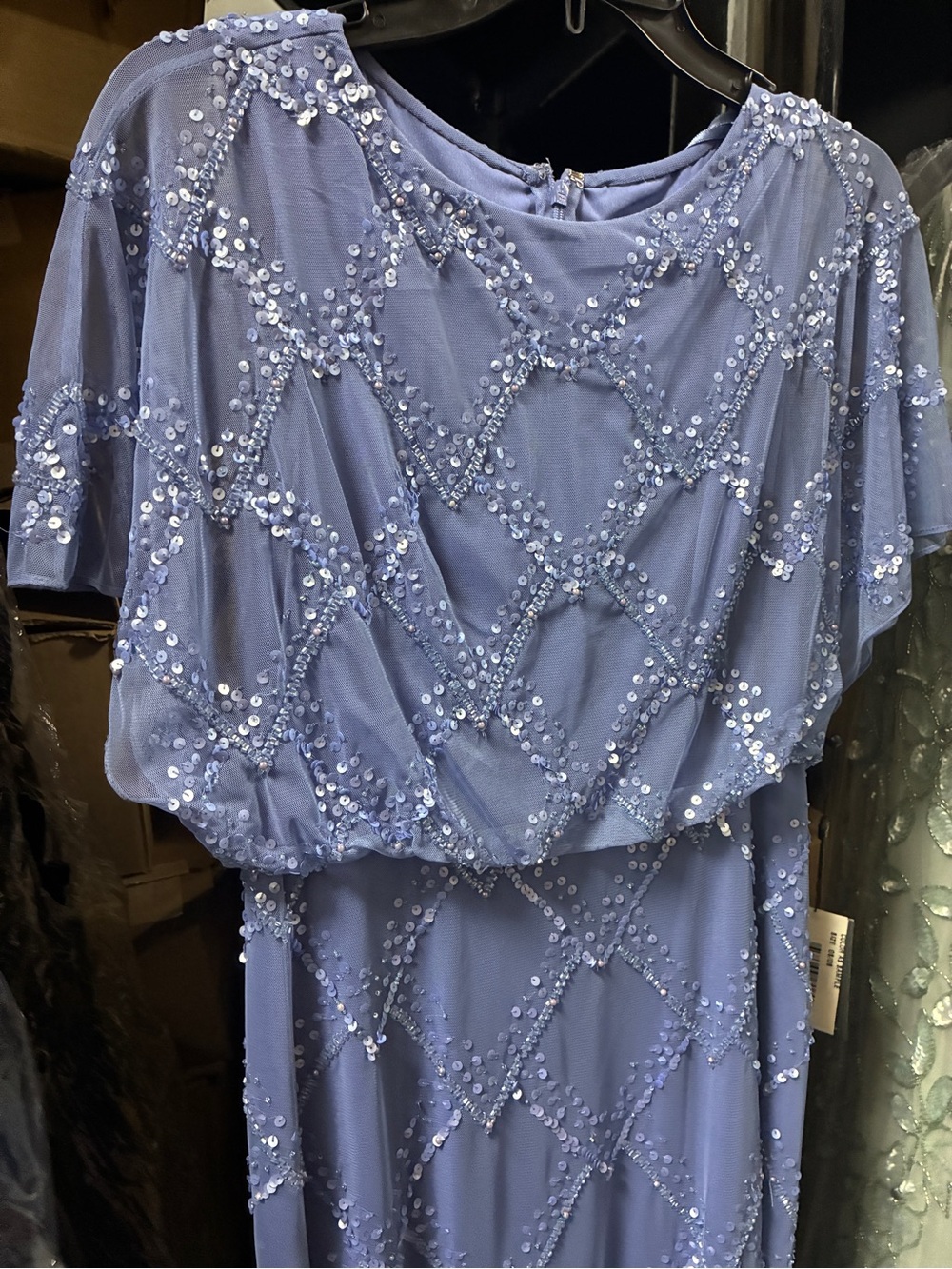 Adrianna Papell Beaded Blouson French Blue Gown NWT SZ 14W MOB Formal Dress GALA - Picture 7 of 8